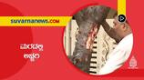 Leaking of like blood liquid in a burgda tree in Bangalore suh