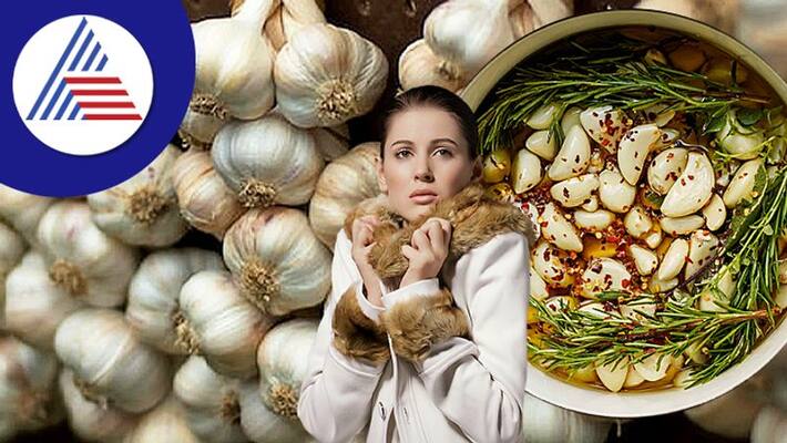 Garlic For Winters: Why You Should Include Garlic In Winter Diet Vin Garlic For Winters: Why You Should Include Garlic In Winter Diet Vin