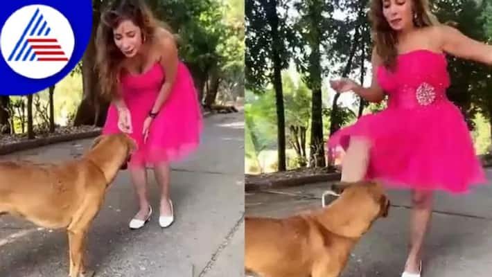 Female Influencer Kicks Dog, Abuses It; Says Im Animal Lover Video Vin Female Influencer Kicks Dog, Abuses It; Says Im Animal Lover Video Vin