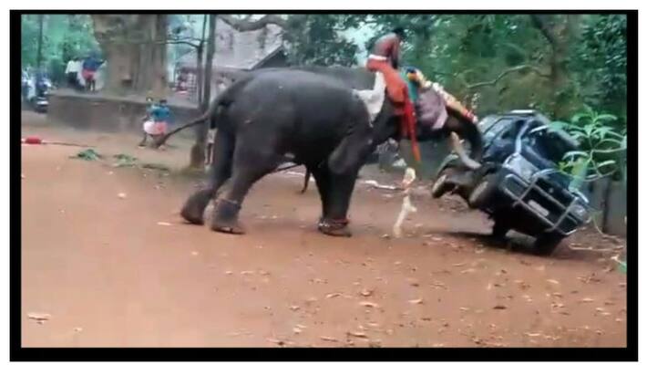Elephant created rucks in Temple in Palakkad Elephant created rucks in Temple in Palakkad