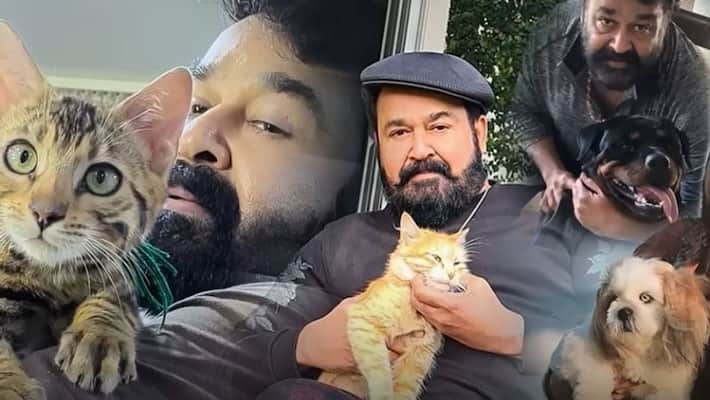 bhadran facebook post about Mohanlal an Ecosystem video bhadran facebook post about Mohanlal an Ecosystem video