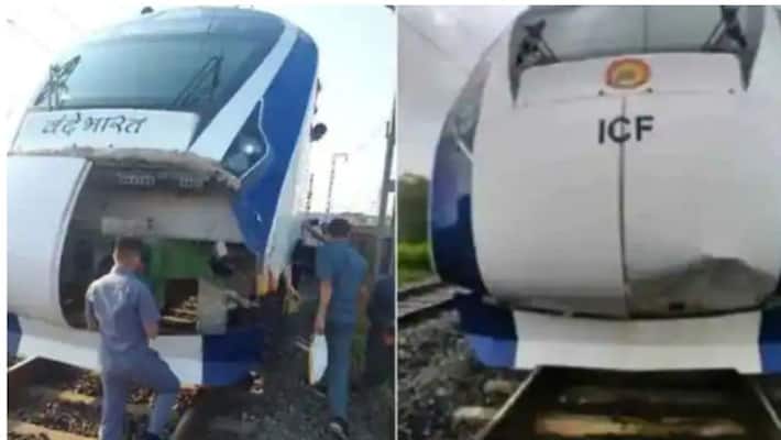 Gandhinagar Mumbai Vande Bharat Express hits into cattle in Gujarat Gandhinagar Mumbai Vande Bharat Express hits into cattle in Gujarat