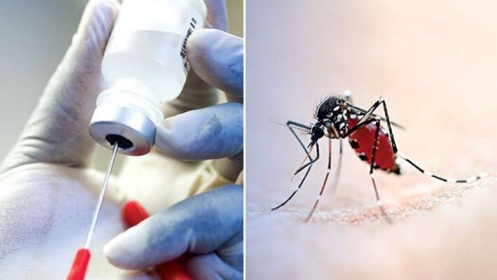 Malaria symptoms and precautions of Malaria Malaria symptoms and precautions of Malaria