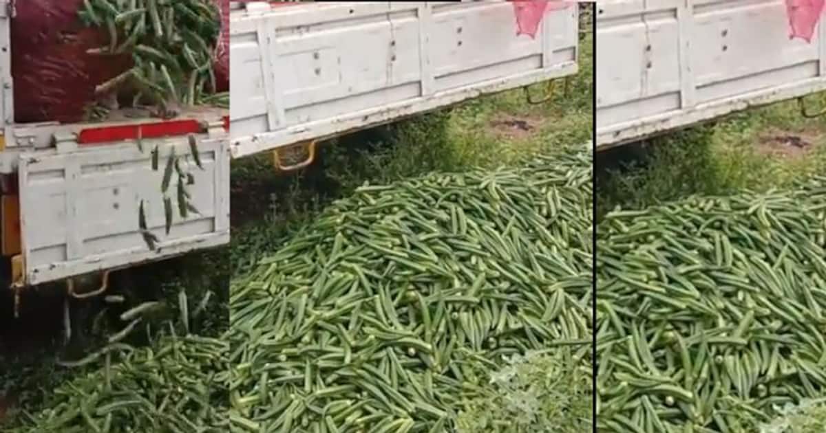 சாலையில் கொட்டப்படும் காய்கறிகள்..! கண்டு கொள்ளாத அரசு ராமதாஸ் ஆவேசம்