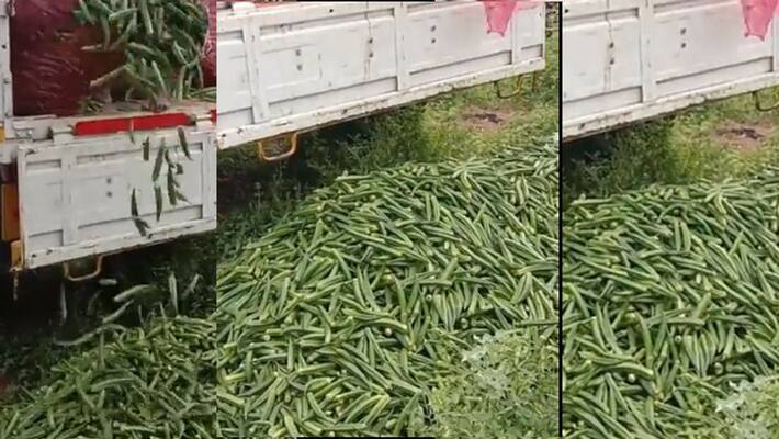 Ramadoss has insisted that the Tamil Nadu government should fix the procurement price for vegetables Ramadoss has insisted that the Tamil Nadu government should fix the procurement price for vegetables