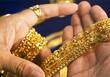 Gold silver rates fall in early trade yellow metal trading at Rs 53,780 know latest rates here