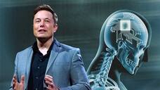 elon musk gets approval to put computer chip in human brains know all about neuralink ash