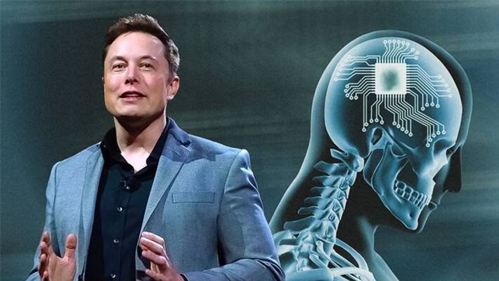 Neuralink and Elon Musk Under Federal Probe For Reportedly Killing 1500 Animals san Neuralink and Elon Musk Under Federal Probe For Reportedly Killing 1500 Animals san