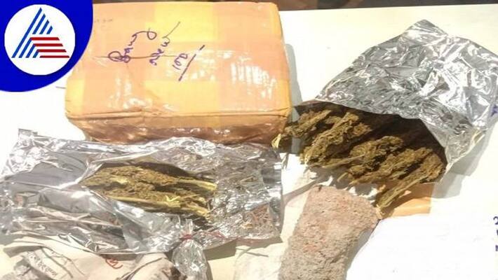 27 Drug Peddlers including Foreign Citizen Arrested in 2 Months in Bengaluru grg 27 Drug Peddlers including Foreign Citizen Arrested in 2 Months in Bengaluru grg