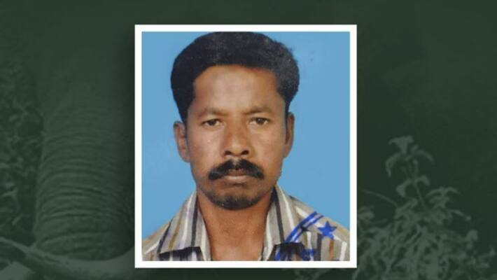 Adivasi man killed in wild elephant attack Adivasi man killed in wild elephant attack