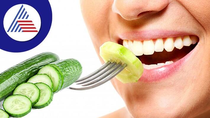 Never Eat Raw Cucumber With Meals, Know The Strange Side Effects Vin Never Eat Raw Cucumber With Meals, Know The Strange Side Effects Vin