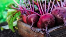 beetroot for healthy and glow skin rse
