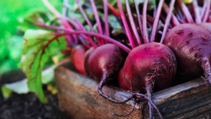 can people with diabetes eat beetroot can people with diabetes eat beetroot
