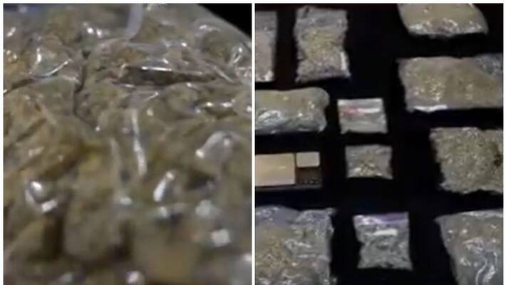 two arrested in kuwait with 10 kgs of marijuana two arrested in kuwait with 10 kgs of marijuana