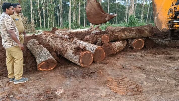 BJP alleges further investigation delays in panchayat members illegal tree cut case in idukki BJP alleges further investigation delays in panchayat members illegal tree cut case in idukki
