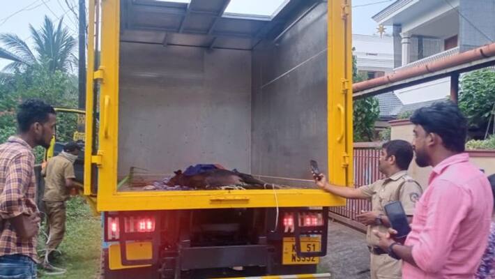 five street dogs found dead in palakkad ottappalam five street dogs found dead in palakkad ottappalam
