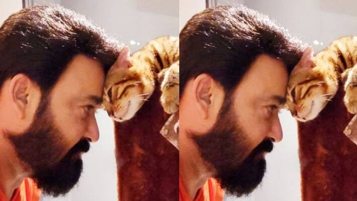 actor mohanlal share photos with his pet cat actor mohanlal share photos with his pet cat