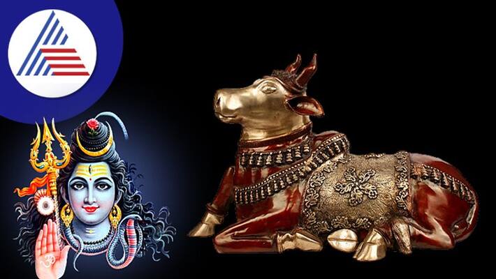 If Shivling is in the house then Nandi must also be established know the rules skr If Shivling is in the house then Nandi must also be established know the rules skr