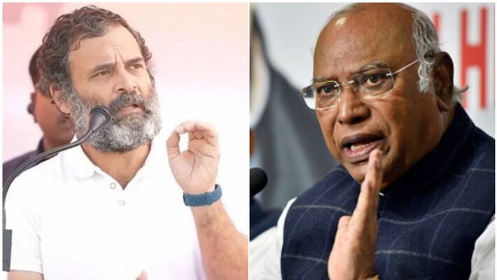 mallikarjun kharge about rahul gandhi bharat jodo yatra mallikarjun kharge about rahul gandhi bharat jodo yatra