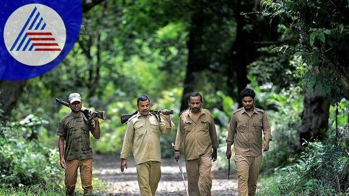 The government has changed the post of Forest Guard to Patrol Forest Guard rav The government has changed the post of Forest Guard to Patrol Forest Guard rav