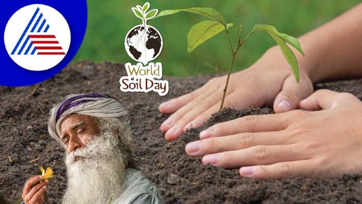 World Soil Day 2022: Whats Sadhguru Doing To Save Soil Vin World Soil Day 2022: Whats Sadhguru Doing To Save Soil Vin
