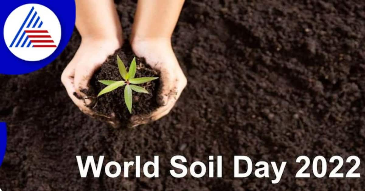 World Soil Day ವಿಶ್ವ ಮಣ್ಣಿನ ದಿನದ ಇತಿಹಾಸ ಮತ್ತು ಮಹತ್ವ