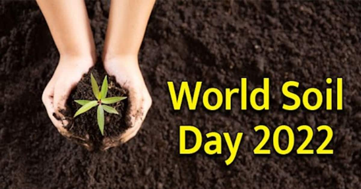 World Soil Day 2022 60 सालों में धरती की मिट्टी का हो जाएगा विनाश