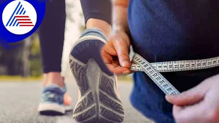 Have You Ever Wondered Why Walking Is Not Making You Lose Weight Vin Have You Ever Wondered Why Walking Is Not Making You Lose Weight Vin