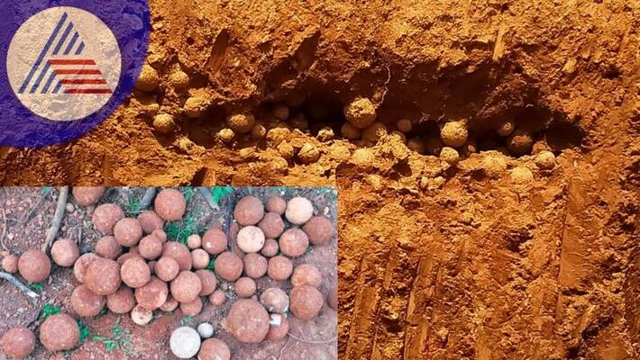 Historical medieval cannonballs found found in construction site at karkala rav Historical medieval cannonballs found found in construction site at karkala rav