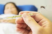 Intermittent rains vigorous action necessary to prevent dengue spread Minister Veena George