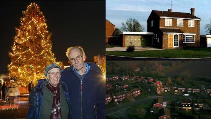 couple planted Christmas tree 44 years ago to mark their first christmas together now stands 50ft tall in front garden couple planted Christmas tree 44 years ago to mark their first christmas together now stands 50ft tall in front garden
