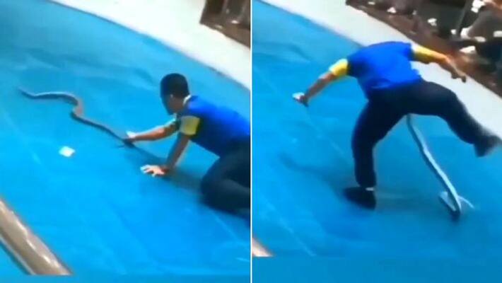 A video of a snake biting a young man private part went viral A video of a snake biting a young man private part went viral