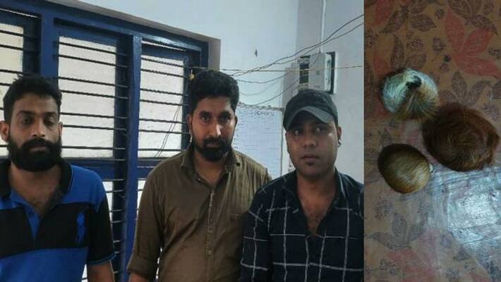 Three arrested with musk of kasthuri Deer Three arrested with musk of kasthuri Deer