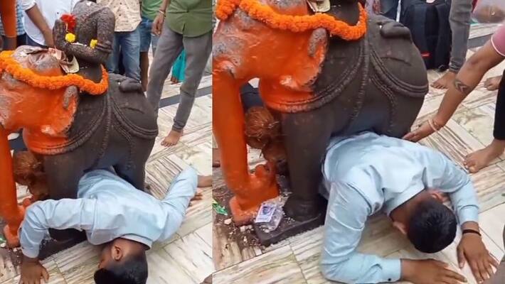 devotee stucked in between elephant statue of the temple in Gujarath, video goes viral akb devotee stucked in between elephant statue of the temple in Gujarath, video goes viral akb