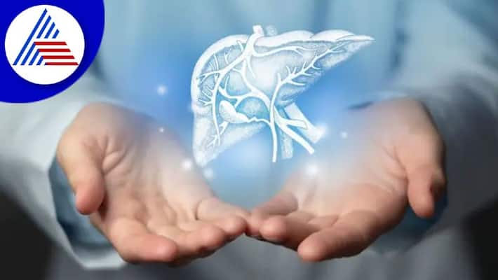 Take Your Liver Health Seriously If You Are Experiencing These Symptoms Vin Take Your Liver Health Seriously If You Are Experiencing These Symptoms Vin