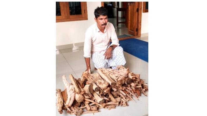 Forest department seized 40 kg of illegal sandalwood Forest department seized 40 kg of illegal sandalwood
