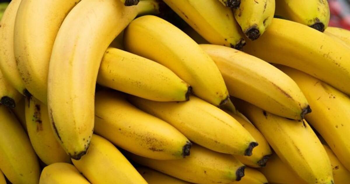 Banana: நீரிழிவு நோயாளிகள் வாழைப்பழம் சாப்பிடலாமா? மருத்துவர்களின் அறிவுரை என்ன?