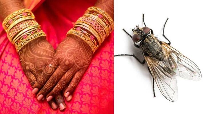 UP brides return to their maykas - they are fed up of flies UP brides return to their maykas - they are fed up of flies