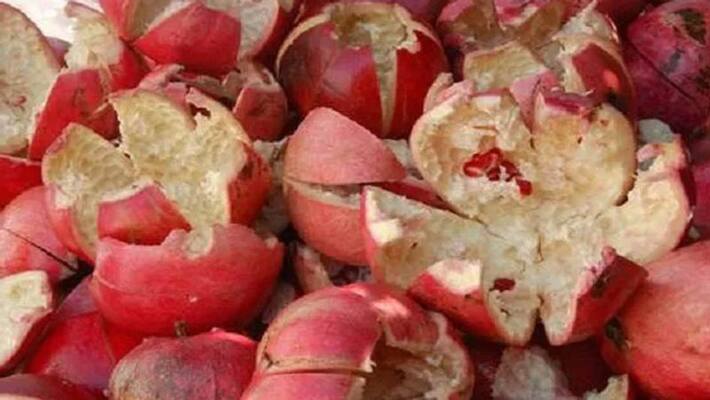 pomegranate peel can make healthy tea give benefits your body pomegranate peel can make healthy tea give benefits your body