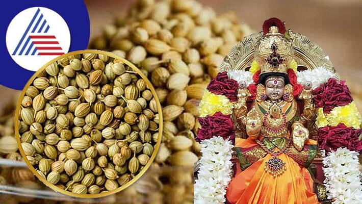 Dhania Ke Upay coriander astro remedies to get rid of money problems skr Dhania Ke Upay coriander astro remedies to get rid of money problems skr
