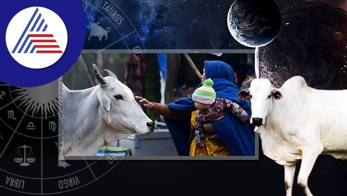 Astrology Tips Go mata darshan will ease your tention skr Astrology Tips Go mata darshan will ease your tention skr
