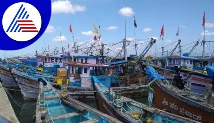 Impacts of COVID-19 fish harvest high in on the coastal Karnataka gow Impacts of COVID-19 fish harvest high in on the coastal Karnataka gow