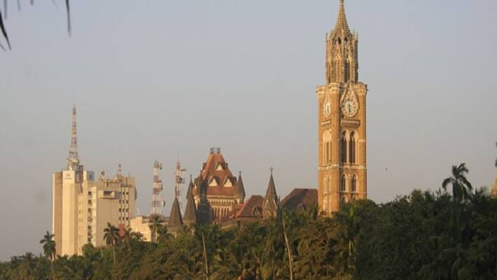 Around 20,000 mangrove trees to be cut for Mumbai-Ahmedabad bullet train project; Bombay HC gives go ahead AJR Around 20,000 mangrove trees to be cut for Mumbai-Ahmedabad bullet train project; Bombay HC gives go ahead AJR