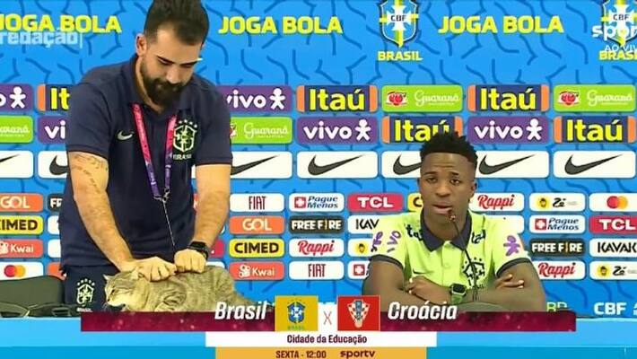 FIFA World CUp 2022: Brazil official throws a cat during Vinicius Jr press conference, Fans Shocked FIFA World CUp 2022: Brazil official throws a cat during Vinicius Jr press conference, Fans Shocked