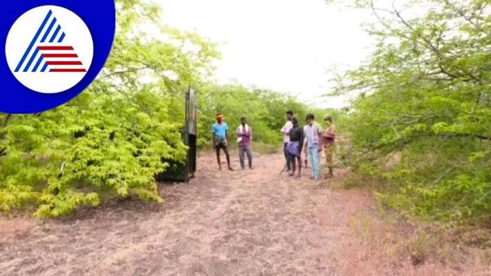 Leopard found at Kurudihalli village in Chitradurga gow Leopard found at Kurudihalli village in Chitradurga gow