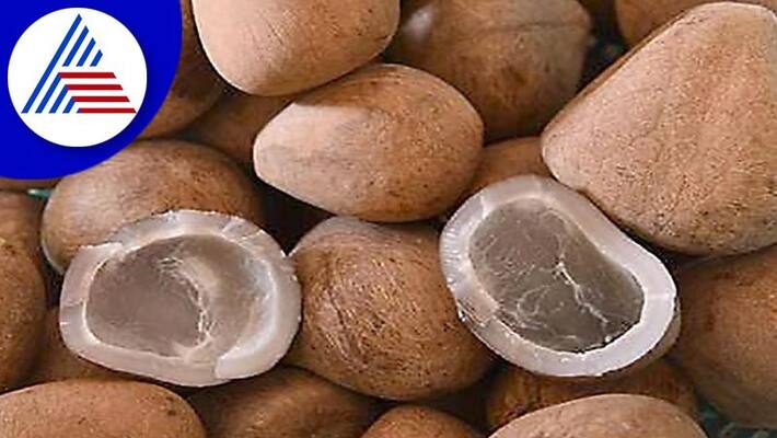 Purchase of lump coconut under supporting price snr Purchase of lump coconut under supporting price snr