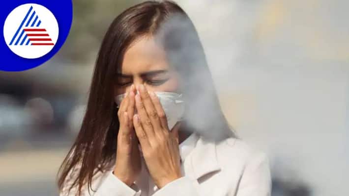 Winter Smog Can Be Harmful For Your Lungs, How to Stay Protected Vin Winter Smog Can Be Harmful For Your Lungs, How to Stay Protected Vin