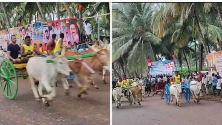 More than 150 cows participated in the cow cart competition held in Theni More than 150 cows participated in the cow cart competition held in Theni