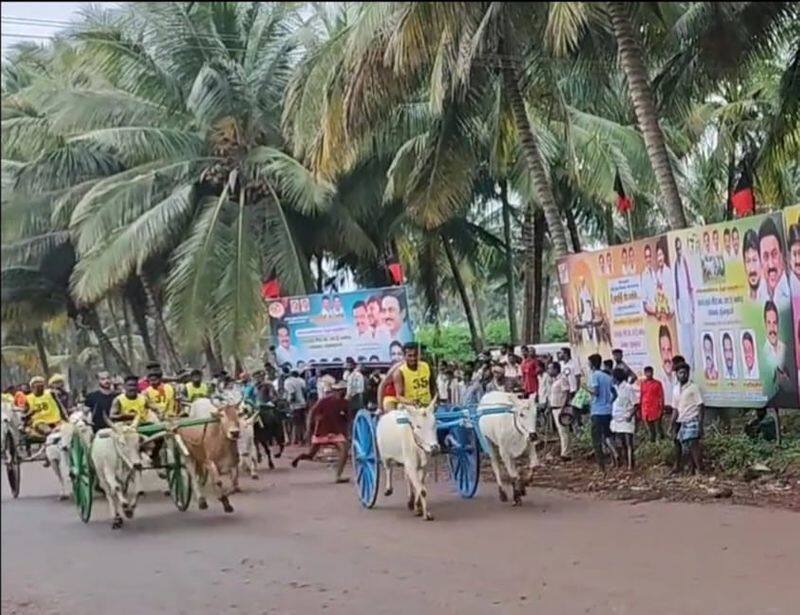 More than 150 cows participated in the cow cart competition held in Theni