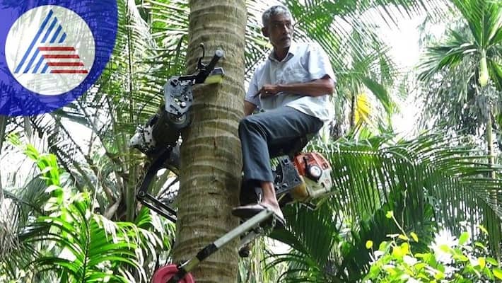 After the areca nut tree now coconut tree is the tree bike development at mangaluru rav After the areca nut tree now coconut tree is the tree bike development at mangaluru rav